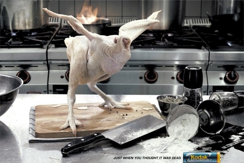 50 примеров креативной рекламы с курицами и петухами