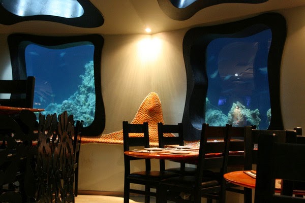 16 вдохновляющих примеров подводных ресторанов