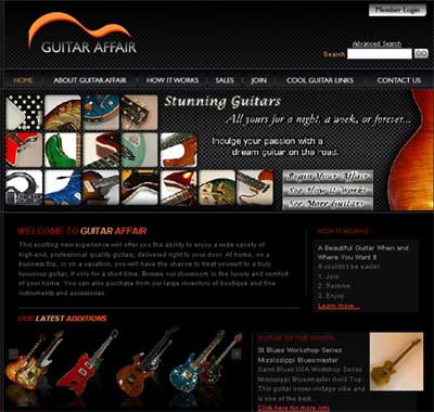 Бизнес идея: профессинальные гитары в аренду