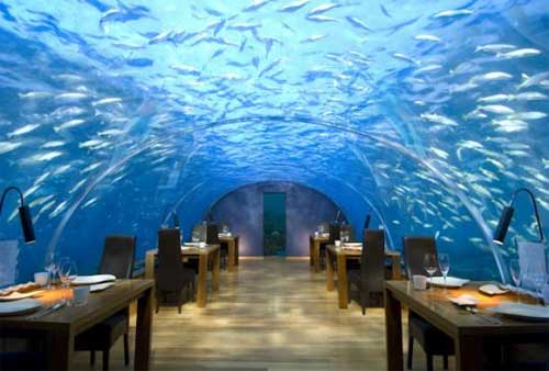 Интересная идея бизнеса: подводные рестораны