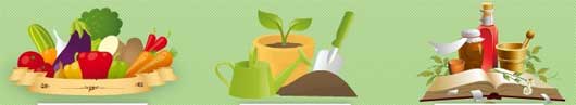 Необычная идея бизнеса: Онлайн огород снабжающий реальными овощами и фруктами