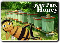 экологически вкусная идея: Мед с личной историей