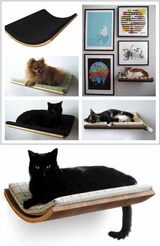 Идея бизнеса на домашних питомцах: настенные кровати для кошек
