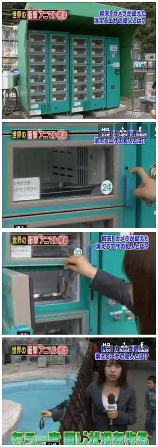 Автомат по продаже рыбы
