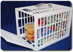 Идея бизнеса против офисного воровства: Запирающийся контейнер для защиты продуктов от офисных воров