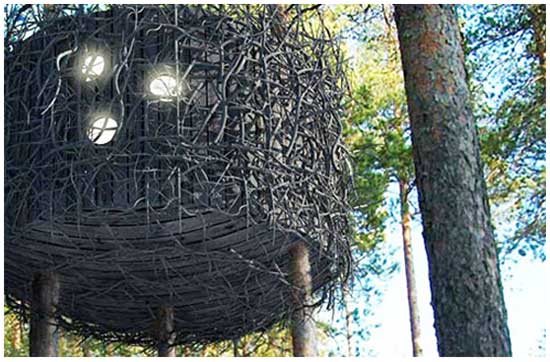 Идея № 2077. Отель-гнездо на дереве