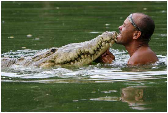 Идея № 2103. Экстремальные развлечения в Коста Рики: смертельный аттракцион с крокодилом