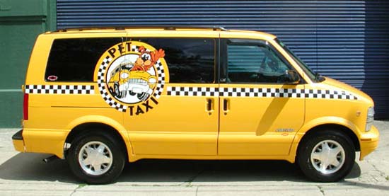 Служба такси для домашних животных - для России пока необычный бизнес.