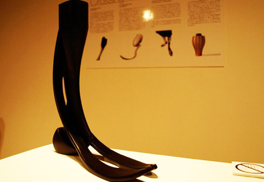 Японский промышленный дизайнер и профессор Университета Кэйо Синья Яманака (Shunji Yamanaka) разработал и создал концептуально новый ножной протез, воплощающий, по его словам, «скелетизированную структуру дизайна». 