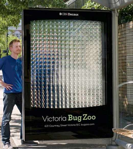 Креативная реклама мини-зоопарка насекомых