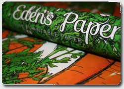 Бизнес идея № 1016. «Зелёная» упаковочная бумага с импрегнированными семенами для эко-Рождества