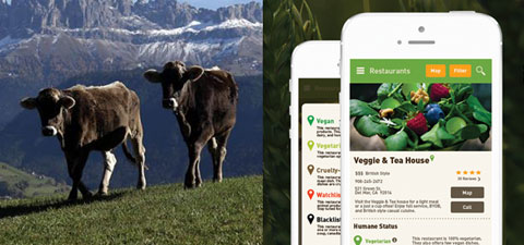 мобильное приложение для выбора ресторана с гуманным мясным меню
