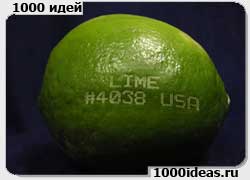 Бизнес-идея № 2845. Лазерная маркировка фруктов и овощей