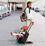 Бизнес идея № 424. Багажная сумка для родителей с маленькими детьми