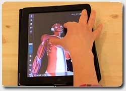 Бизнес идея №4166. Обучающее мобильное приложение: Анатомический атлас в 3D