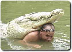 Бизнес-идея: экстремальные развлечения: смертельный аттракцион с крокодилом