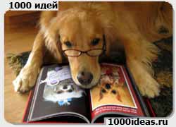 Бизнес-идея: издательство книг о собаках