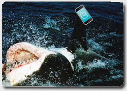 Бизнес идея №4682. Австралийские акулы сообщают твитами о своём приближении к берегу