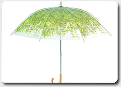 Бизнес идея №4786. Японский зонт с эко-принтом для романтиков