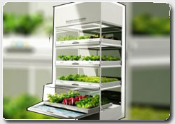 Бизнес идея № 4396. Выращивание еды в условиях города. Корейский  нано-сад  – огород на вашей кухне
