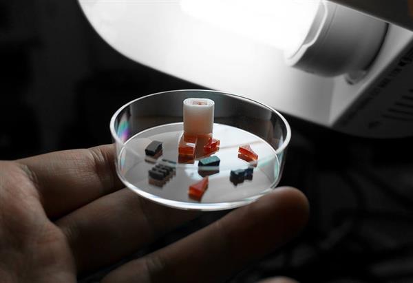 Таблетки, напечатанные на 3D-принтере