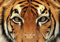 zoo-21