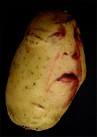 Ginou Choueiri и ее портреты на картофеле