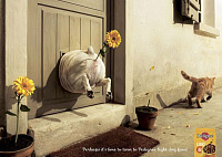Реклама для домашних животных