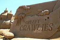 Creepy Crawlies -    