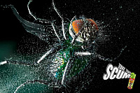 Креативная реклама инсектицидов