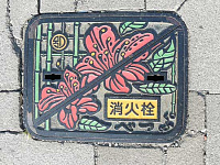Японские канализационные расписные люки