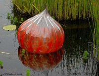 Dale Chihuly    