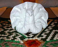 необычное применения для полотенца