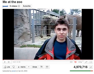 Бизнес-идея: Youtube-зоопарки