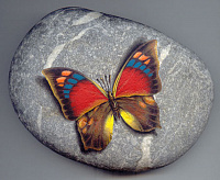 Удивительные рисунки на камнях Роберто Риццо